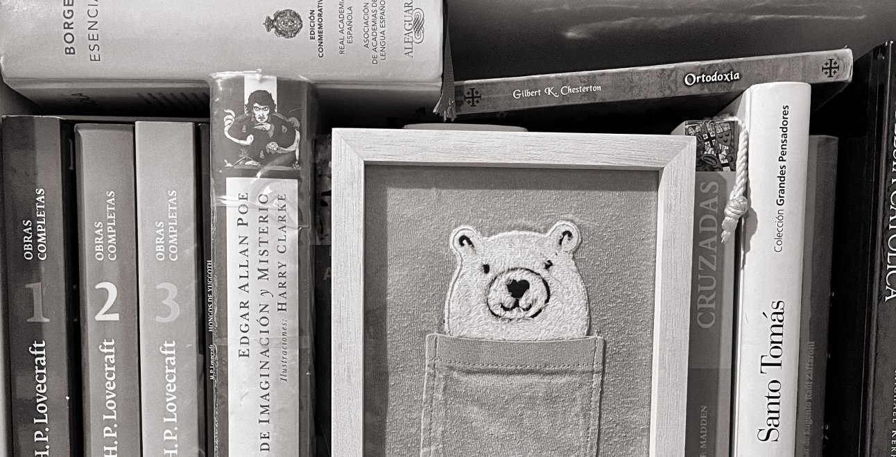 A book is but one thing among other things, a volume lost among the volumes that fill the indifferent universe, until it finds its reader, the man for whom its symbols were destined [J.L.Borges].